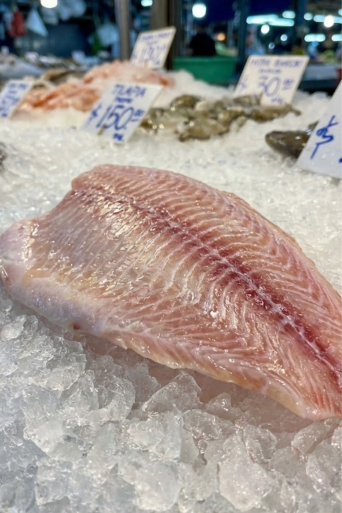 Untitled design 2026 02 23T220922.920